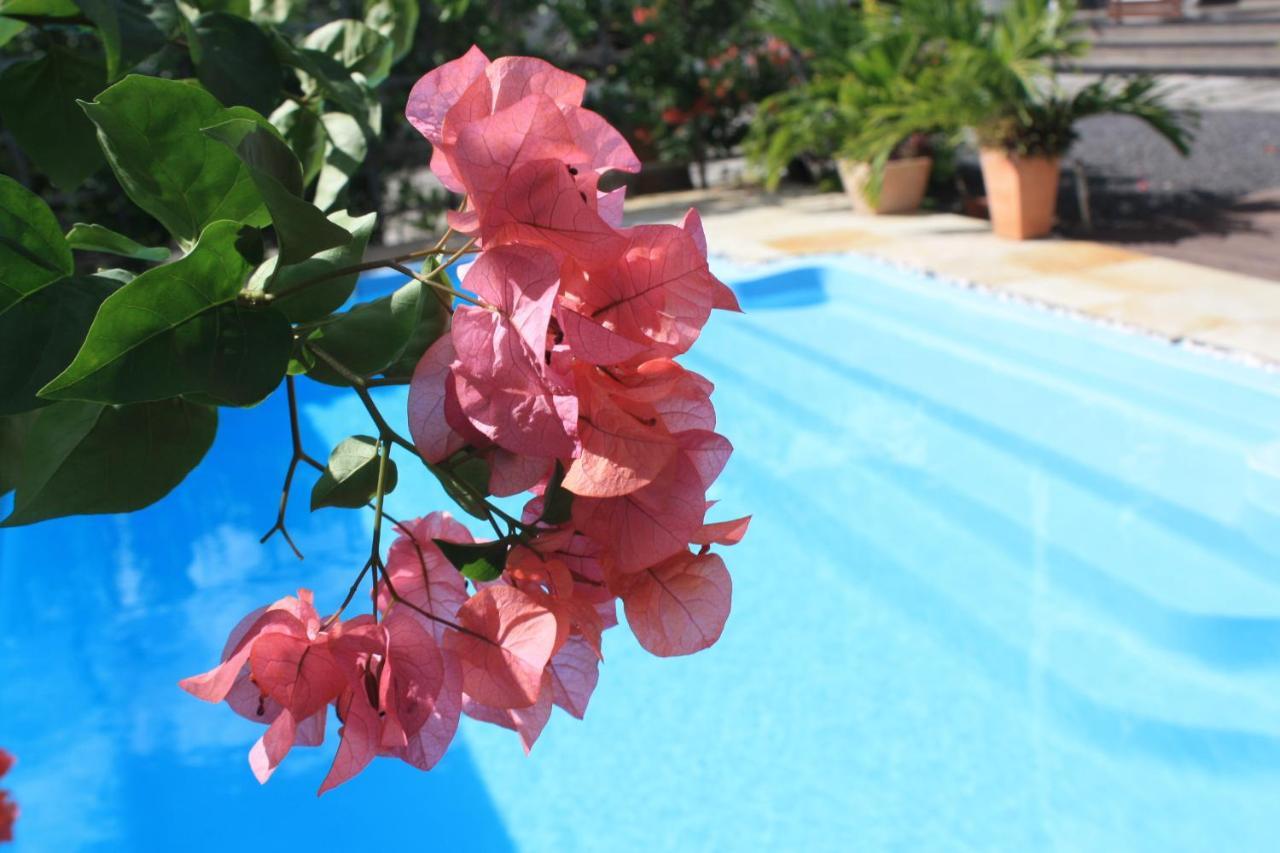 Roi Holiday Stay Grand Bay Luaran gambar