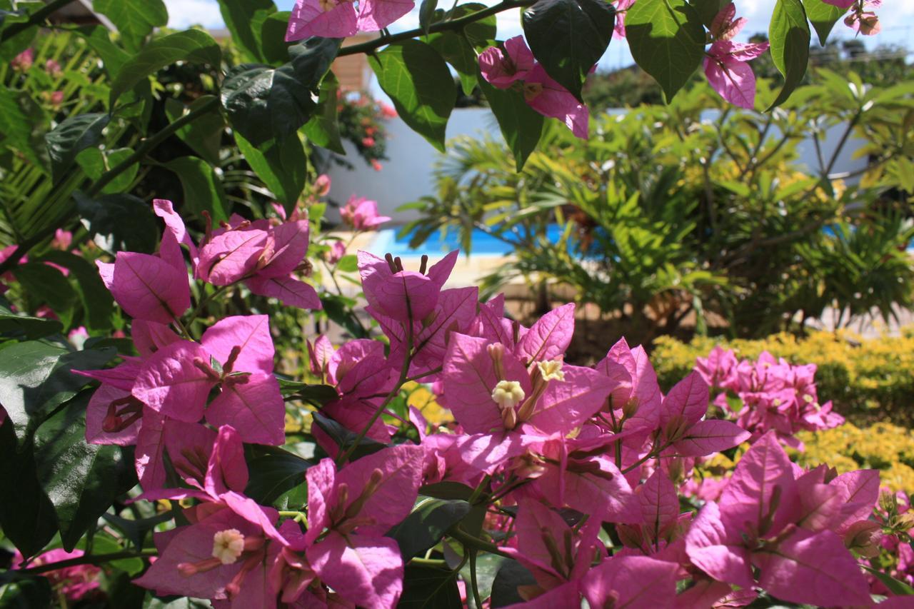 Roi Holiday Stay Grand Bay Luaran gambar